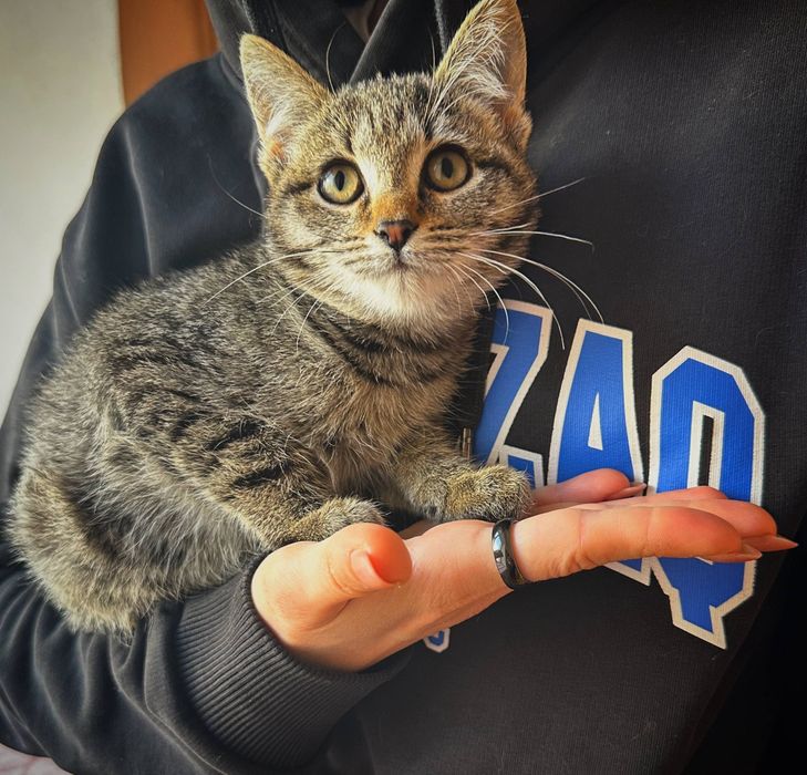 Тося в хорошие ручки.