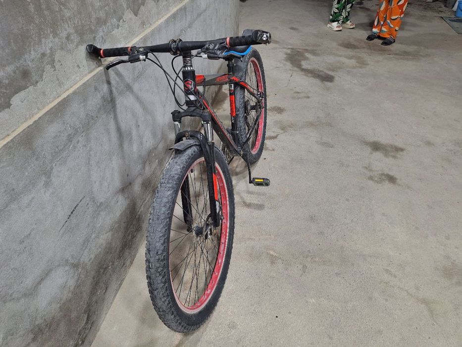 Velosiped 29 razmer