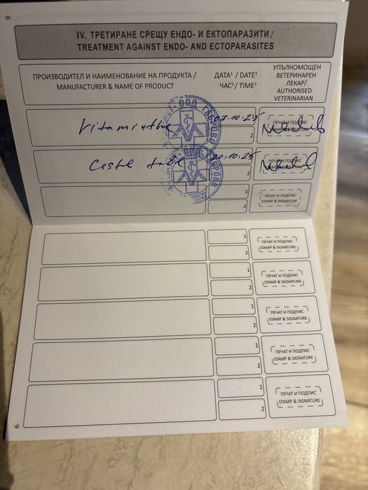 Дратхаарчета 2броя,женски