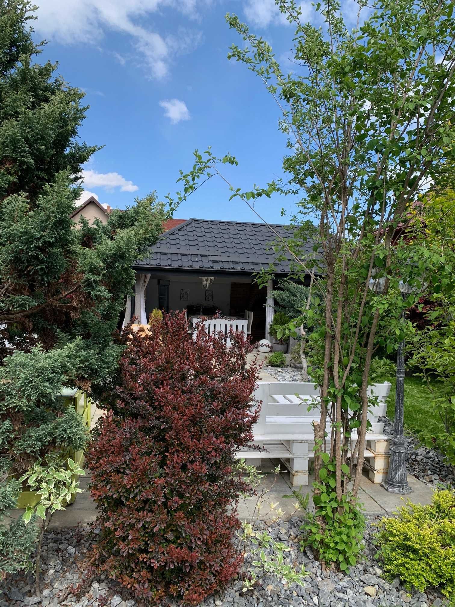 Oferta casa loc. Moara