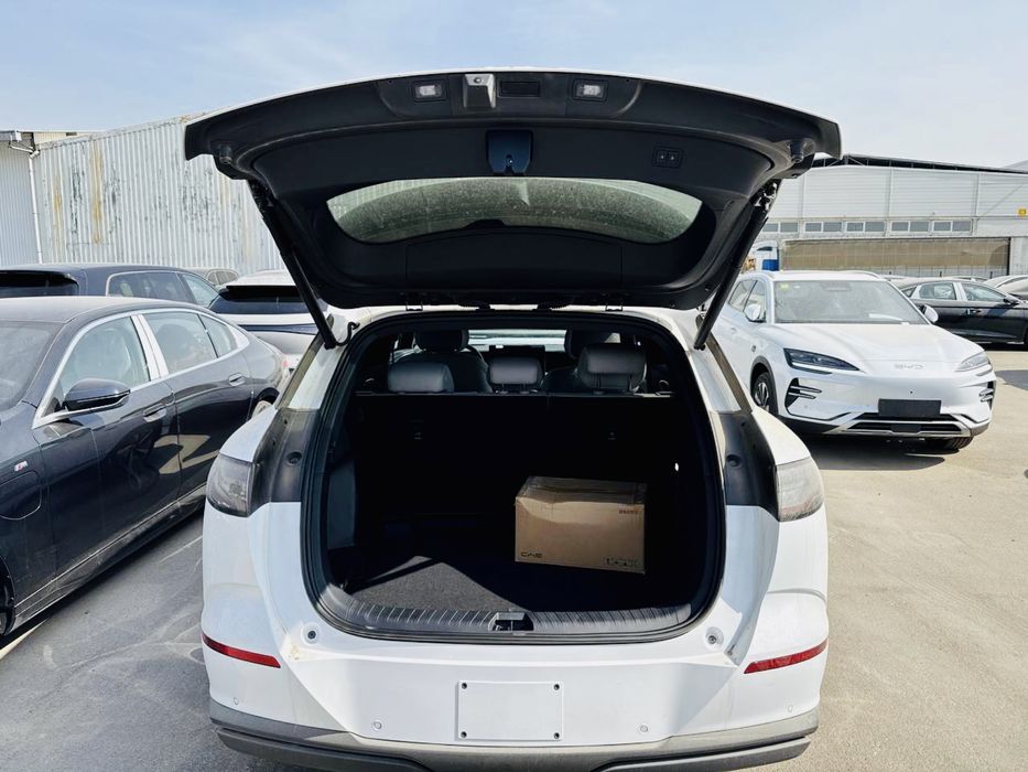 Byd Sea Lion 6 full pozitsia