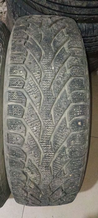 Бу ризина целые без порезов