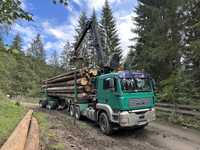 Camion Forestier  Peridoc Man Tga 33.480