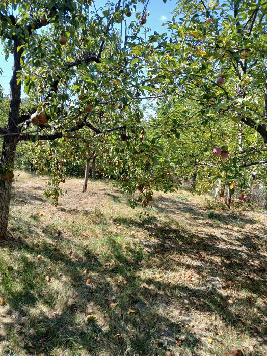 Продава се Къща в с. Мали Върбовник, Област Кюстендил - 104 кв.м за 294 €/кв.м - Снимка #11