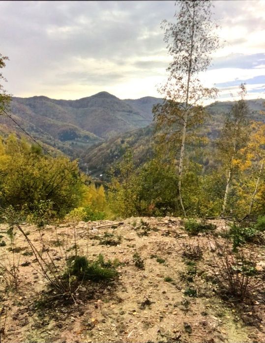Parcele de vinzare la Muntele Rece, Cluj/schimb cu auto