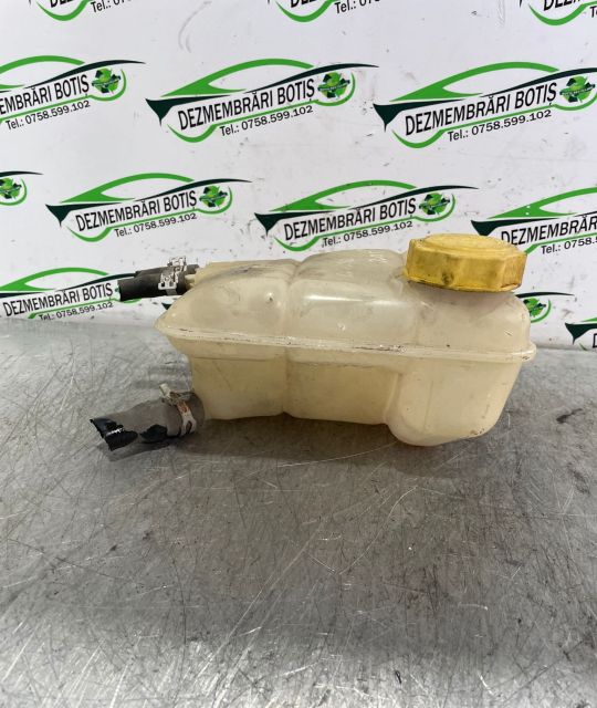 Vas expansiune 98AB 8K218 Ford Focus prima generatie
