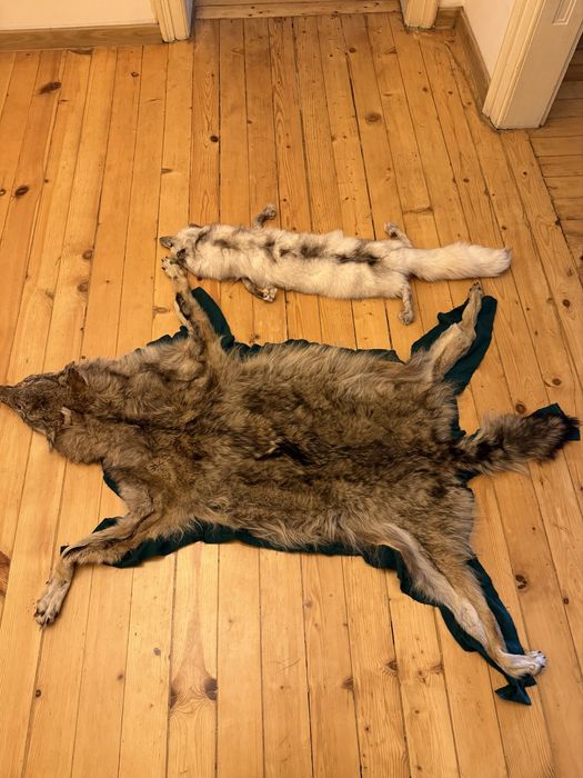 Кожа от Вълк и шал , яка от лисица