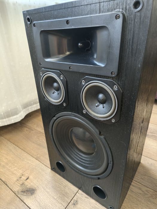 Boxe Cat Berlin Disco