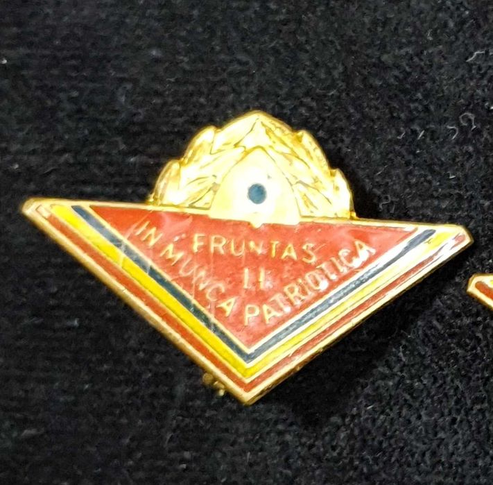 Lot insigne Pionieri - 1980-1987