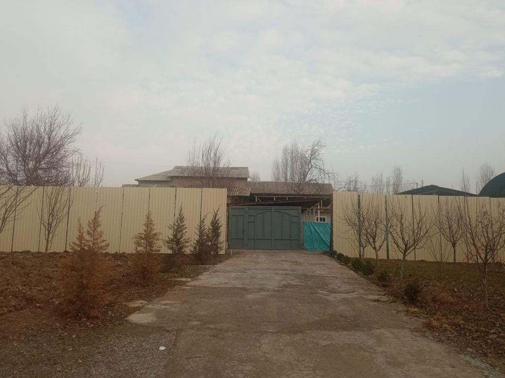 12 месяц 1 годаа