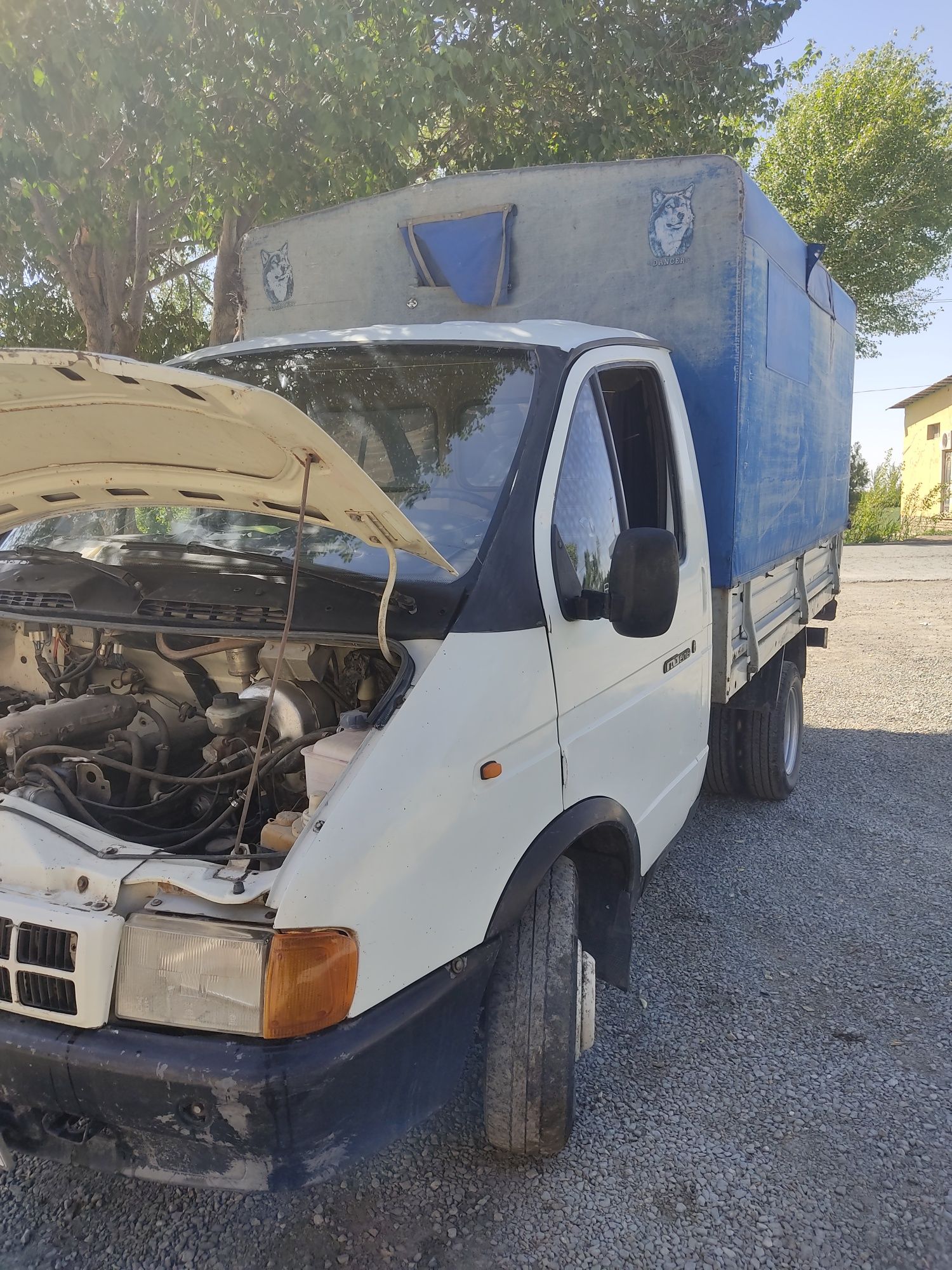 Gazel sotladi yil 2000
