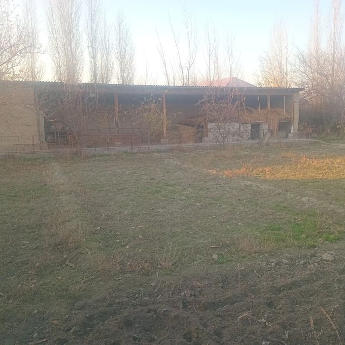 Jomboy tumani Zarafshon mahallasida Hovli sotiladi 

Jomboy tumani