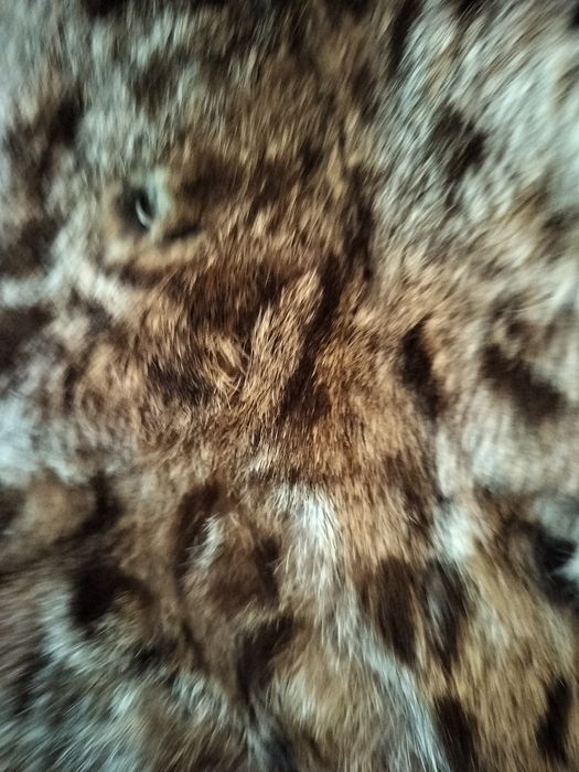 Естествен косъм лисица