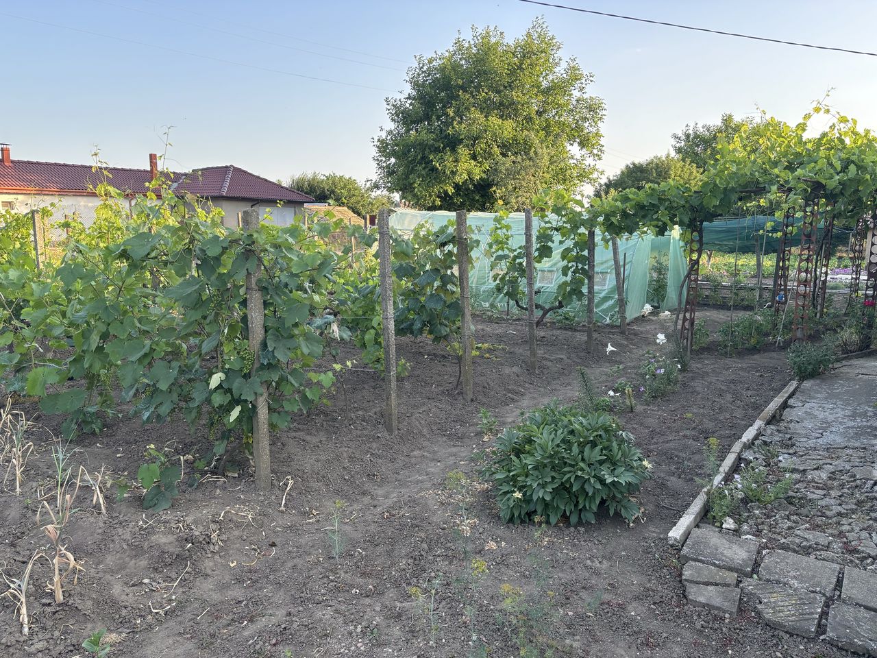 Продава се Къща в с. Методиево, Област Добрич - 60 кв.м за 842 €/кв.м - Снимка #11
