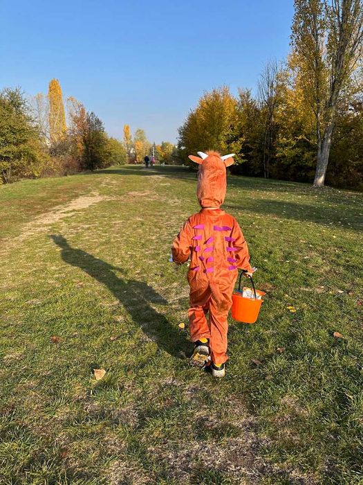 Детски костюм на Хелоуин Грузулак / Джулия Доналдсън