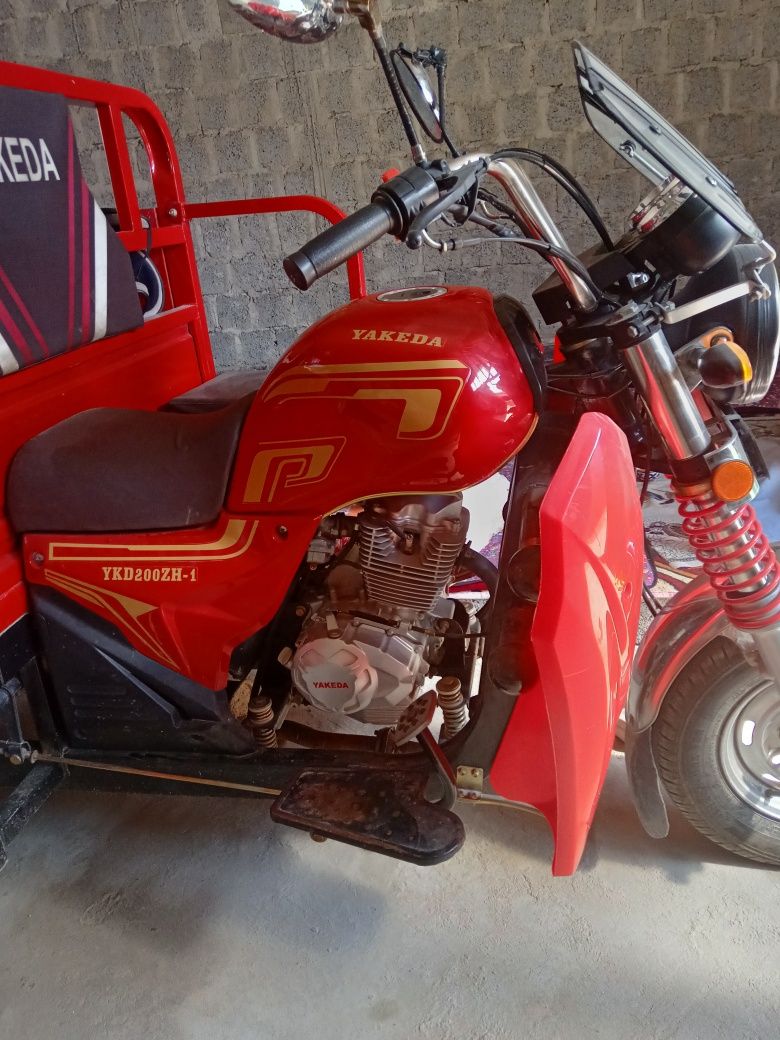Motorol yili 2024