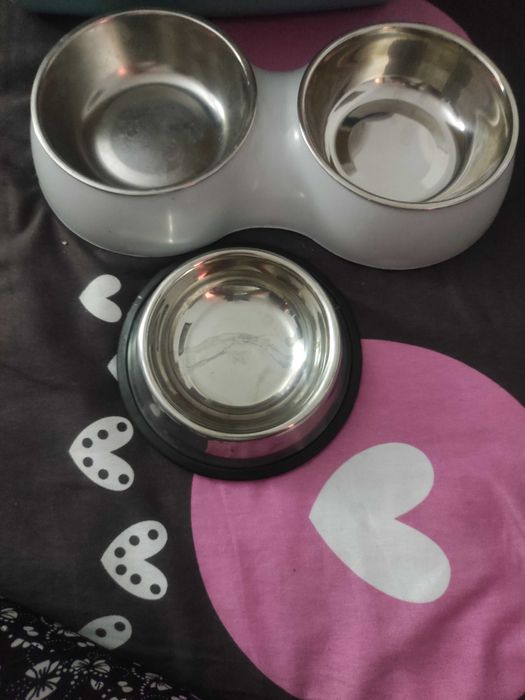 Litieră mare,boluri și un pătuț de pisici