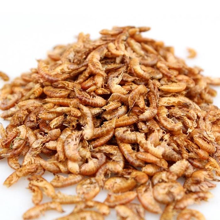 Корм для рыб! Гаммарус! Тушки гаммарус! На развес 20 тг за грамм !