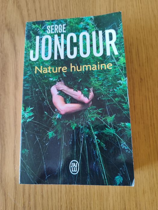 Романи на френски език