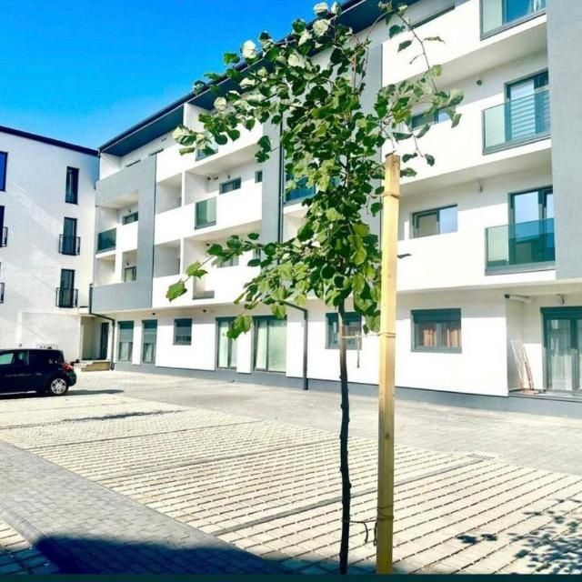 Apartament 2 camere, Doamna Stanca