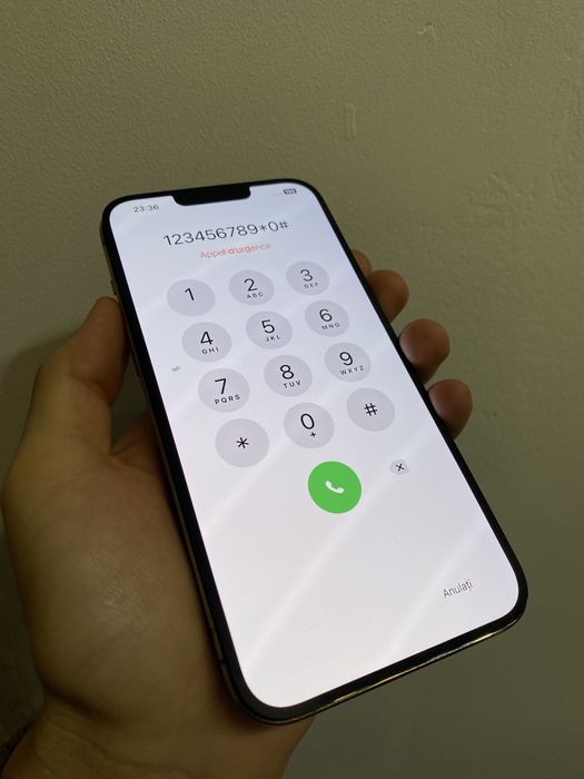  Display Original iPhone 13 Pro Max  *Pixel* [M0846]