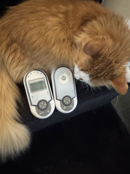 Бебефон Motorola