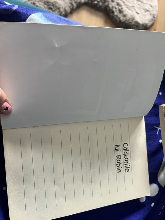 Calatoriile lui ROBIN- Venetia