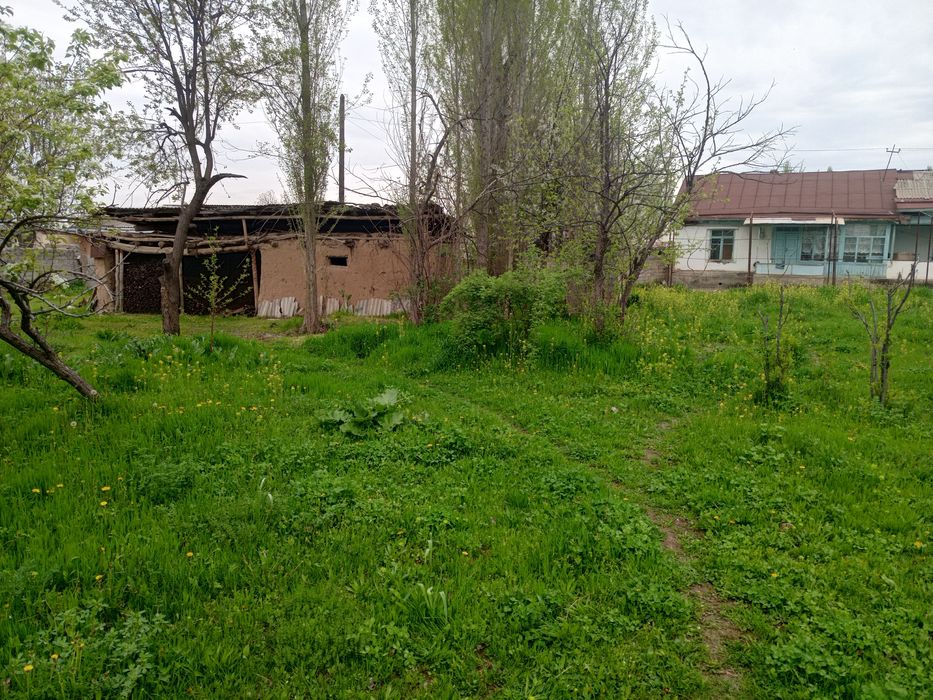 Yer xovli sotiladi 24 sotix aray hoji kolga kerurishda kavardanda