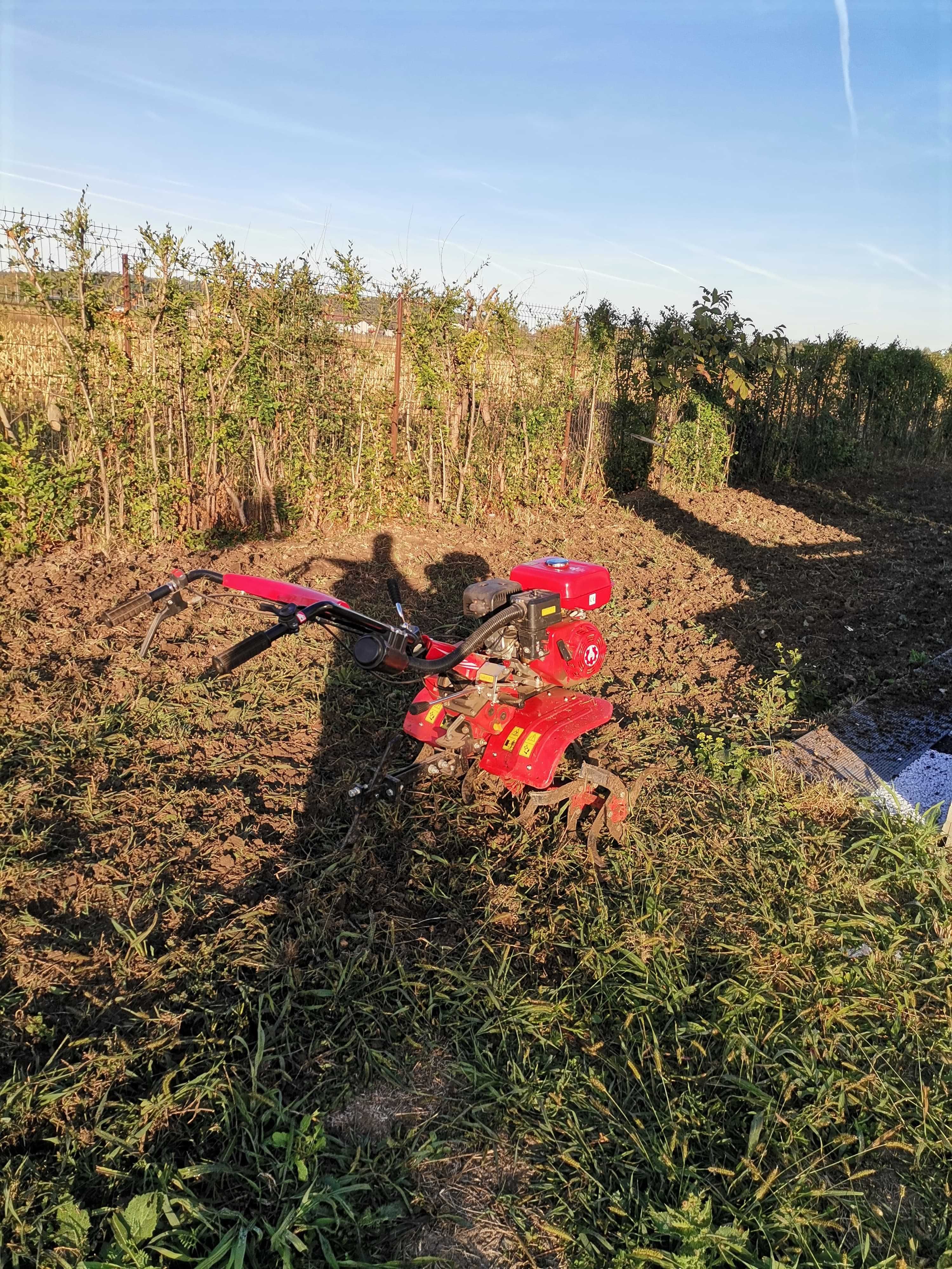 Tundem iarbă buruieni gazon ierbicidăm