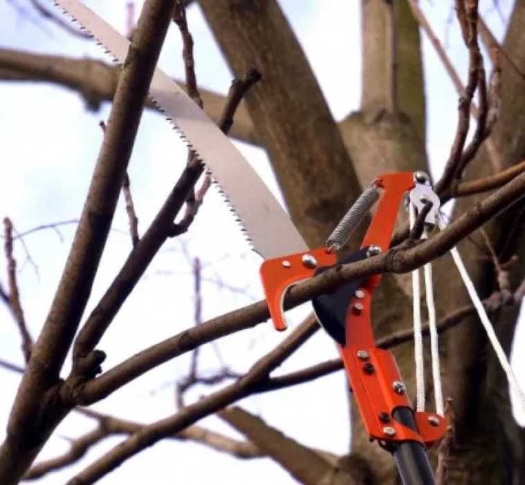 Foarfeca de taiat crengi 2 cm cu maner telescopic 2.80 m si fierastrau