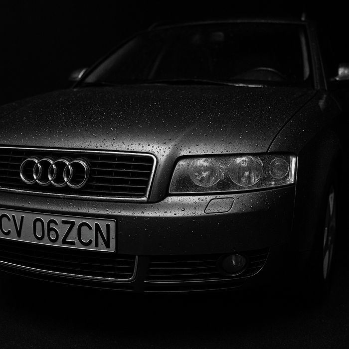 Vand Sau Schimb Audi a4 b6 2004 1.9Tdi