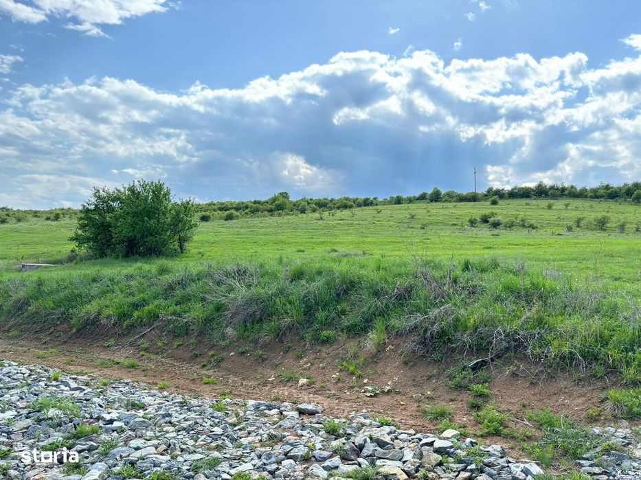 Teren intravilan Salicea