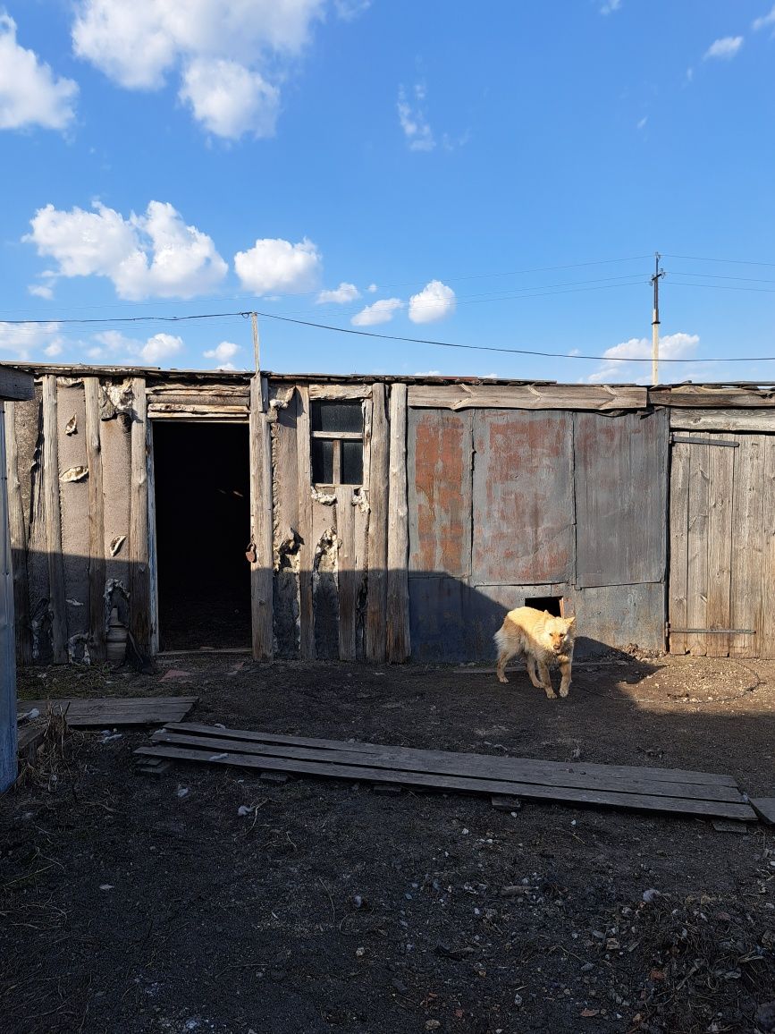 Продается  дом .