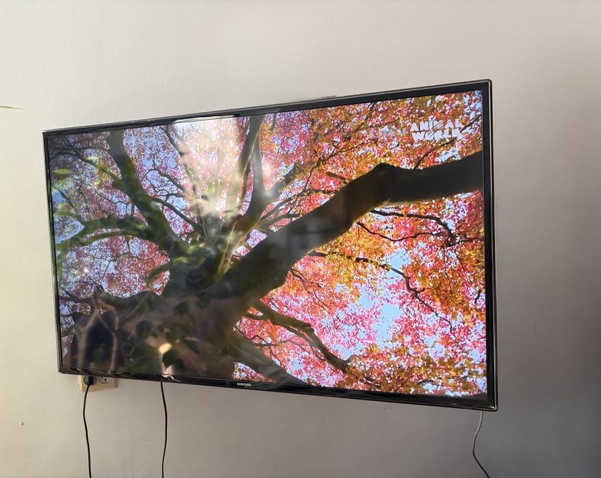 Smart TV Samsung Televizor