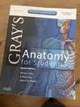 Grays Anatomy for Students