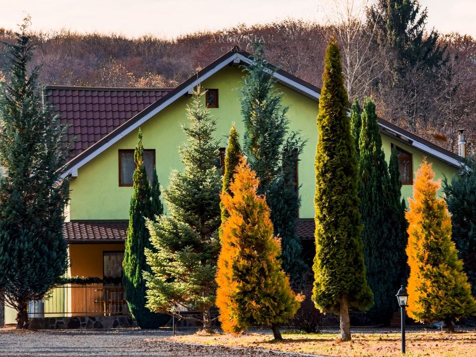 Cabana de inchiriat - Valea Avrigului, jud.Sibiu