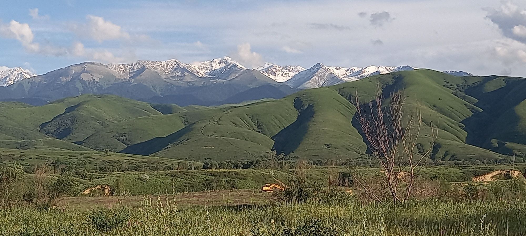 Участки  в Долане