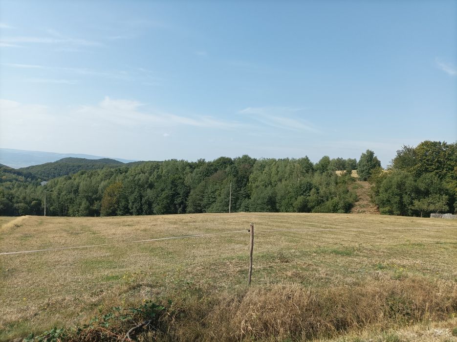 Vând 7500 mp teren in Șinteu
