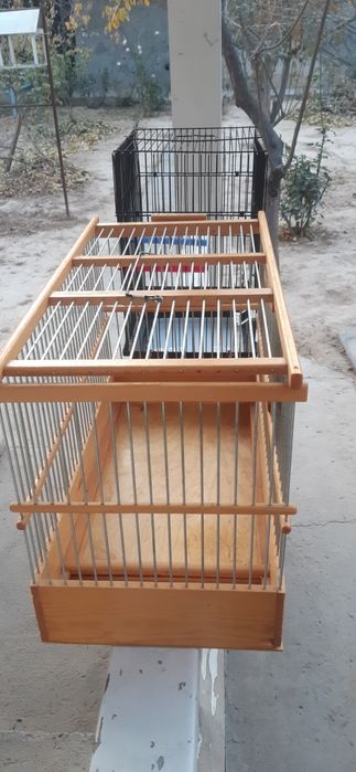 Кафаслар 2 дона зор ахволда