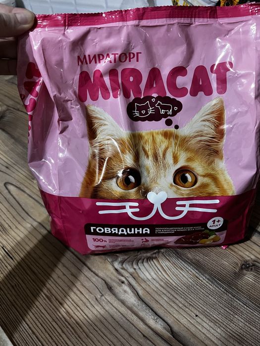 Корм сухой для кошек мироторг