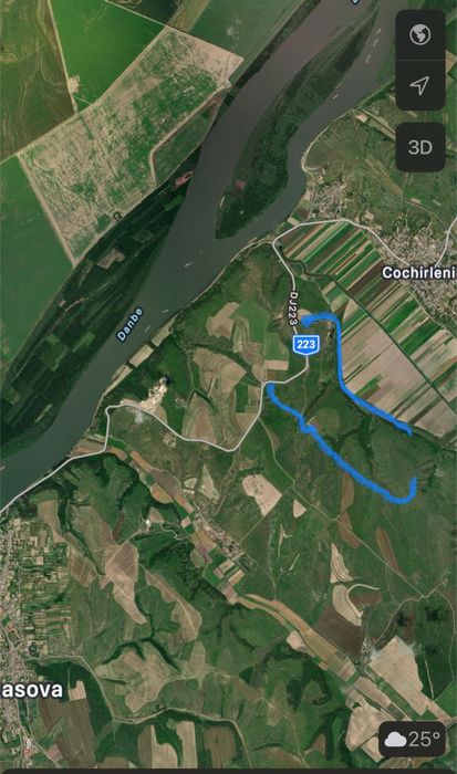 Vand plantatie vie 40 ha