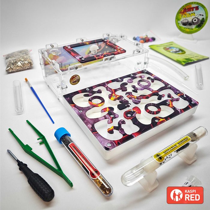 ГИПСОВЫЙ Формикарий "ADVANCED" ||| Муравьиная ферма - Муравьи жнецы