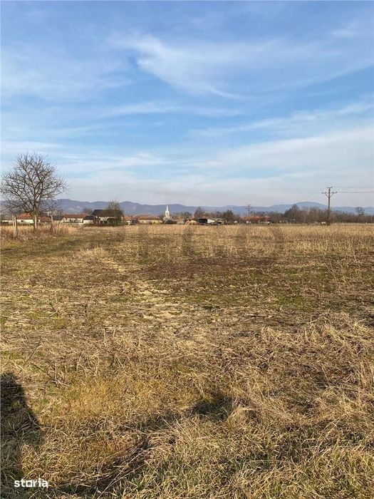 RECO  Teren in  Topa de  Cris  7560mp aproape de E60