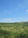 vand teren agricol (livada) 42,5 ha taga jud cluj