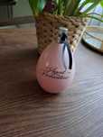 Agent Provocateur