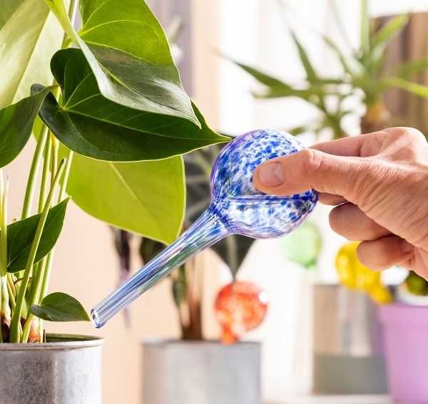 Set 4 Globuri de udare automata pentru plante de apartament