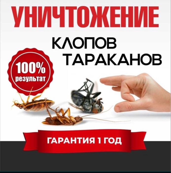 Дезинфекция Усть-Каменогорск|Низкая цена|Гарантия|Конфидециально|СЭС|