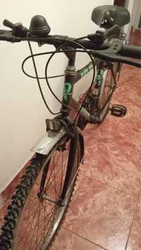 Bicicleta semicursiera