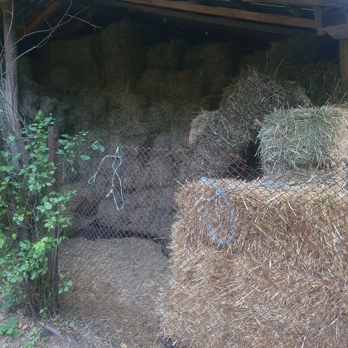 Baloți de fîn și paie