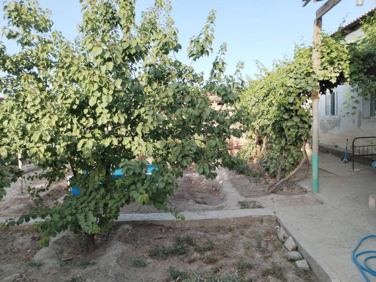 Nukus 108 povorotta 5xanali jer jay satiladi